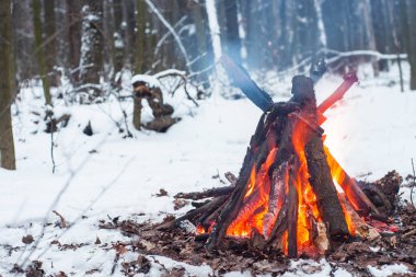 Kış ormanda yangın