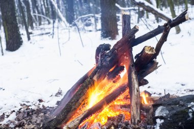 Alacakaranlık ormanın içinde. Çevresinde kar ve sadece kamp ateşi zor zaman hayatta kalmak sağlar.