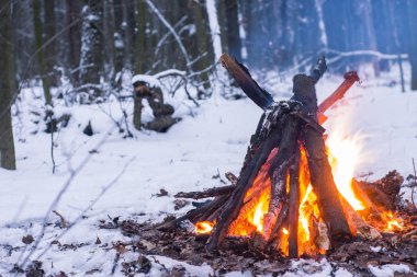 Kış ormanda yangın