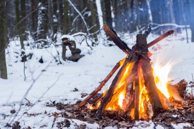 Kış ormanda yangın