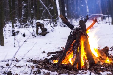 Kış ormanda yangın