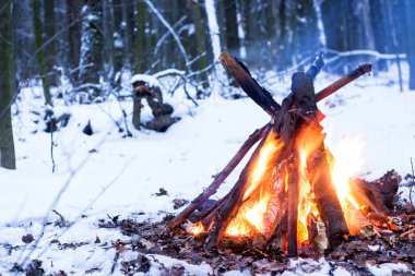 Kış ormanda yangın