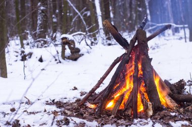 Kış ormanda yangın