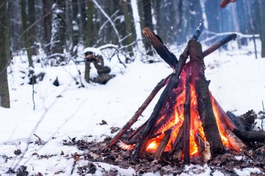 Kış ormanda yangın