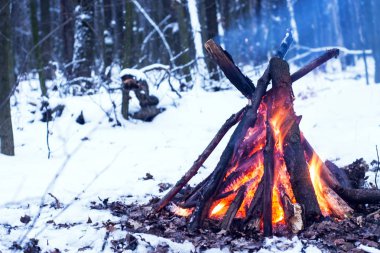 Kış ormanda yangın