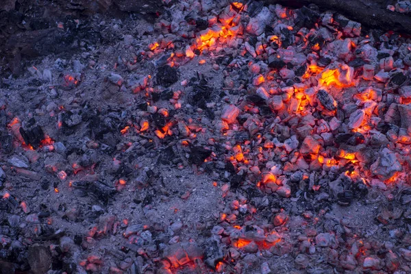 Деревянные угли прекрасно светятся — стоковое фото