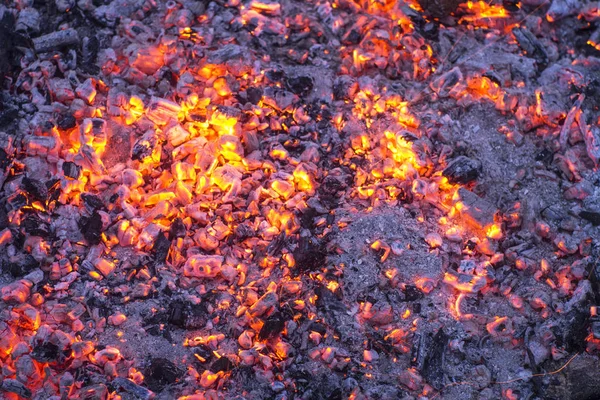 Wooden embers beautifully glowing — Stock Photo, Image