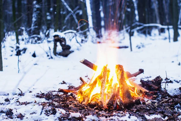Сутінки в лісі. Сніг навколо і єдиний вогонь дозволяє вижити важко . — стокове фото