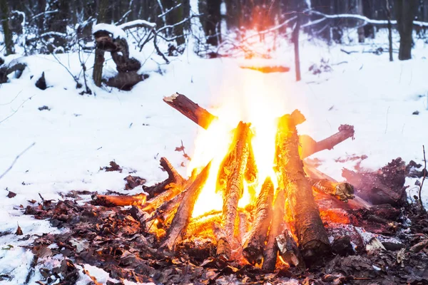Сутінки в лісі. Сніг навколо і єдиний вогонь дозволяє вижити важко . — стокове фото