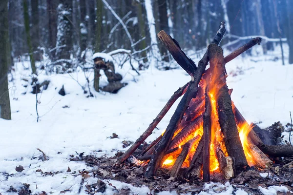 Kış ormanda yangın