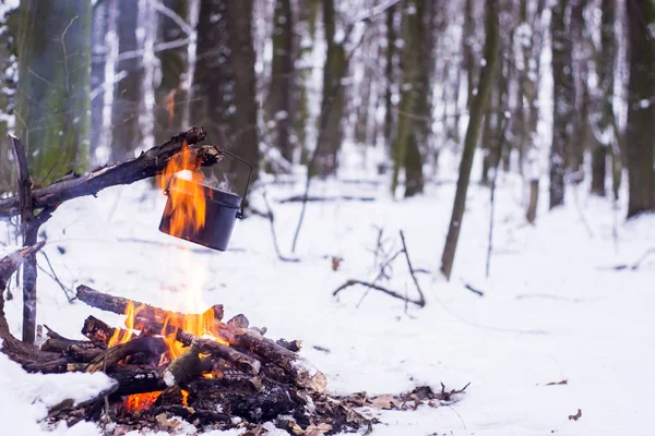Зимовий ліс, туристичний теплий чай в горщику — стокове фото