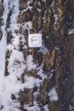 Ekolojik kavram, Hıristiyanlıkla yenilenebilir enerji, bio enerji, bir