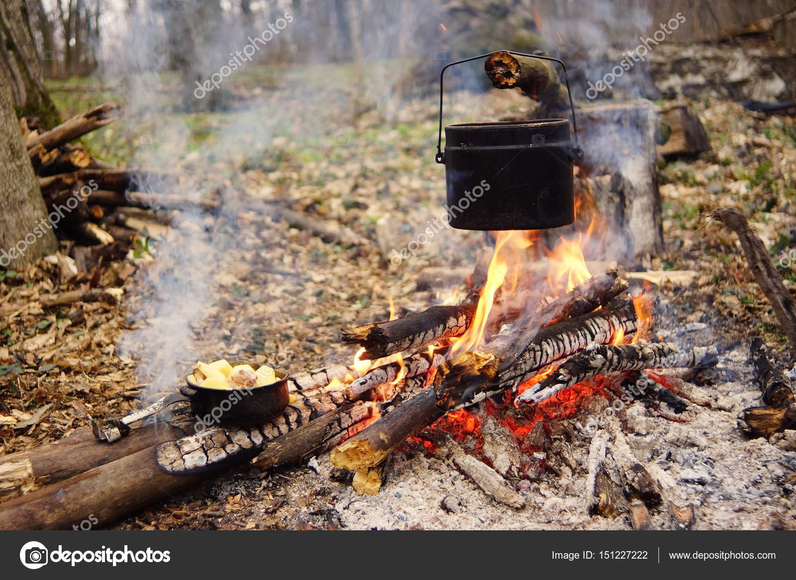 Pozos calientes en el bosque — Foto de stock © Beaver1488 #151227222
