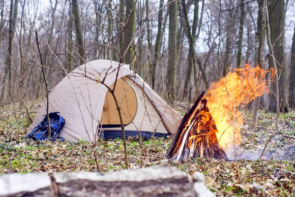 In the spring forest a tent with a fire a