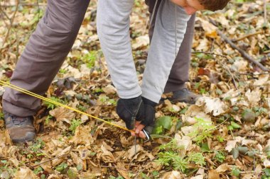 Genç adam ormanda bir çadır koyarak bir