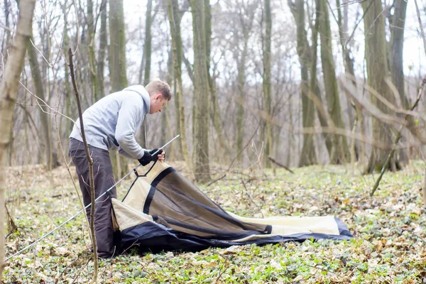 Junger Mann stellt ein Zelt in den Wald — Stockfoto