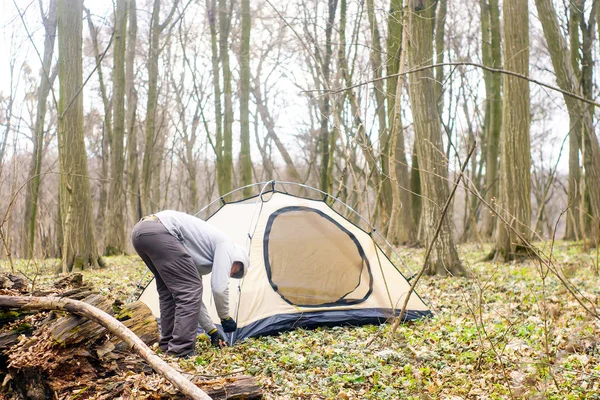 Ung man sätta ett tält i skogen en — Stockfoto