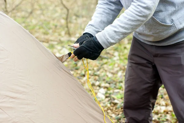 Junger Mann stellt ein Zelt in den Wald — Stockfoto