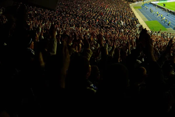 Futball-foci rajongók támogatja a csapat, és ünnepelni a cél a teljes stadion, a szabadban, a szép eget.-elmosódott kép. — Stock Fotó