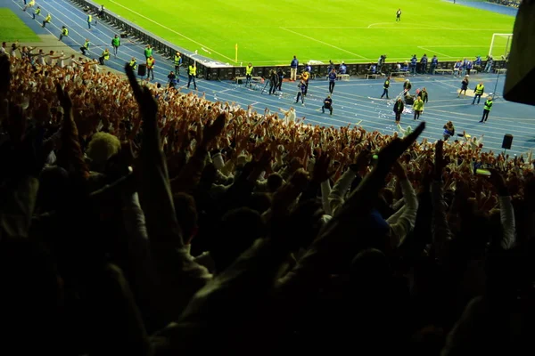 Los fanáticos del fútbol apoyan a su equipo y celebran el gol en el estadio completo al aire libre con un bonito cielo. . —  Fotos de Stock