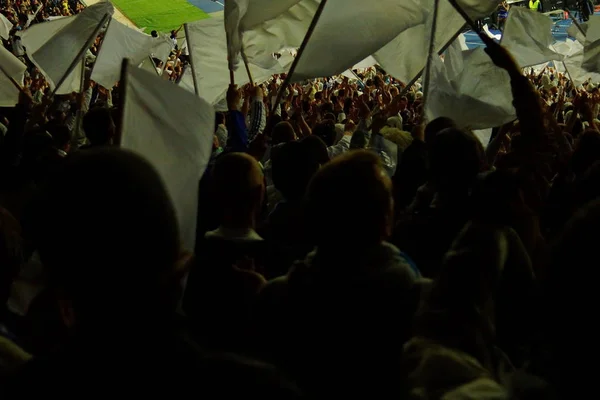 I tifosi di calcio sostengono la loro squadra e celebrano il gol in pieno stadio all'aperto con un bel cielo. . — Foto Stock