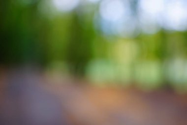 yeşil arka plan bulanık yeşil yaprak