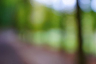 yeşil arka plan bulanık yeşil yaprak