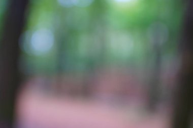 yeşil arka plan bulanık yeşil yaprak