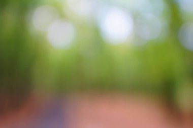 yeşil arka plan bulanık yeşil yaprak