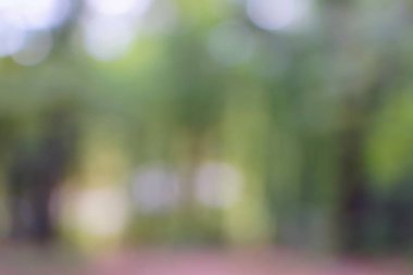 yeşil arka plan bulanık yeşil yaprak