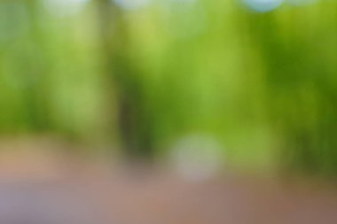 yeşil arka plan bulanık yeşil yaprak