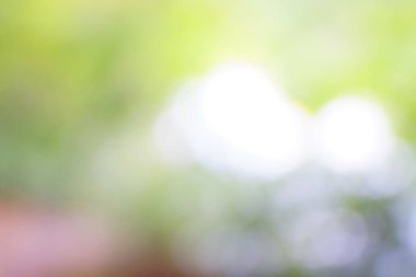 yeşil arka plan bulanık yeşil yaprak