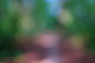 yeşil arka plan bulanık yeşil yaprak