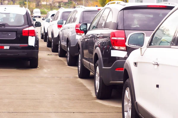 Cars For Sale Stock Lot Row. Car Dealer Inventory — Stock Photo, Image