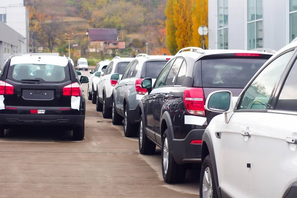 Cars For Sale Stock Lot Row. Car Dealer Inventory — Stock Photo, Image