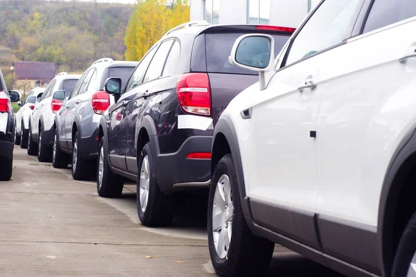 Samochody na sprzedaż Lot Row. Inwentarz samochodów dealerów — Zdjęcie stockowe