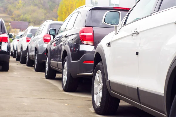 Samochody na sprzedaż Lot Row. Inwentarz samochodów dealerów — Zdjęcie stockowe