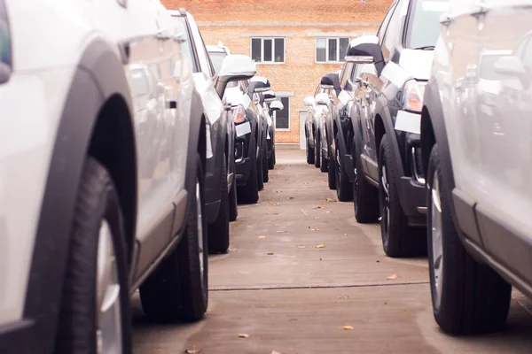 Cars For Sale Stock Lot Row. Car Dealer Inventory