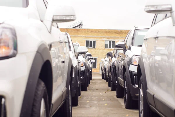 Cars For Sale. Car sales, market place — Stock Photo, Image