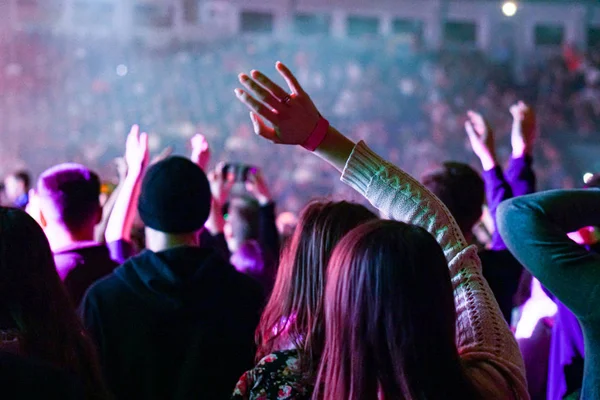 Crowd cheering and hands raised at a live music concert — Stock Photo, Image