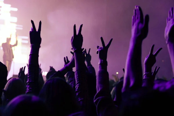 crowd cheering and hands raised at a live music concert