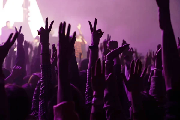 Tłum doping i ręce podniesione w koncercie muzyki na żywo — Zdjęcie stockowe