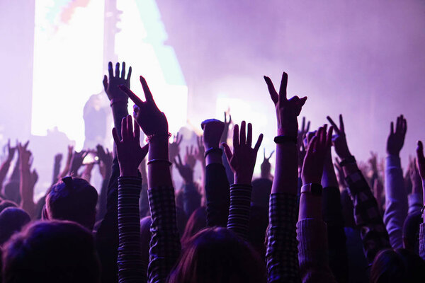Crowd cheering and hands raised at a live music concert