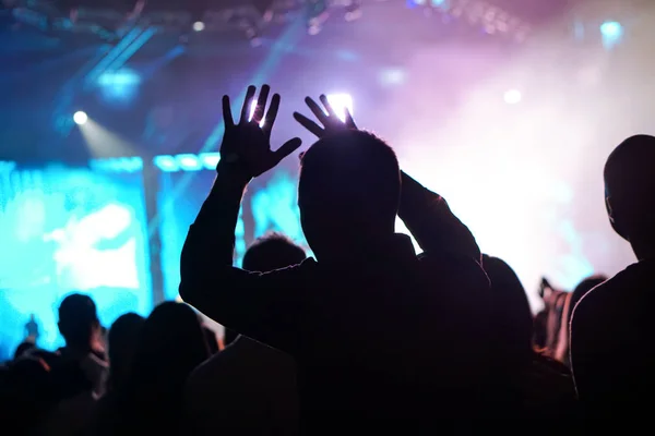 Crowd cheering and hands raised at a live music concert — Stock Photo, Image