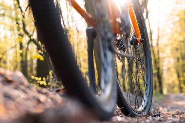 Tekerleklerin yakın çekimi ve gün batımından önce orman patikalarında bir bisikletin dibi.