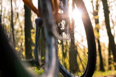 Tekerleklerin yakın çekimi ve gün batımından önce orman patikalarında bir bisikletin dibi.