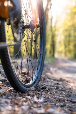 Tekerleklerin yakın çekimi ve gün batımından önce orman patikalarında bir bisikletin dibi.