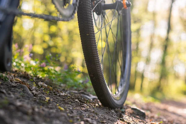 日落前在森林小径上的车轮和自行车底部的特写 — 图库照片
