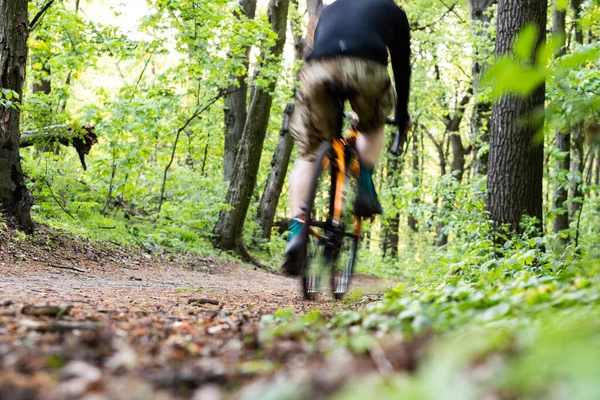 Jeune Homme Dos Vélo Long Sentier Entre Les Arbres Côté — Photo