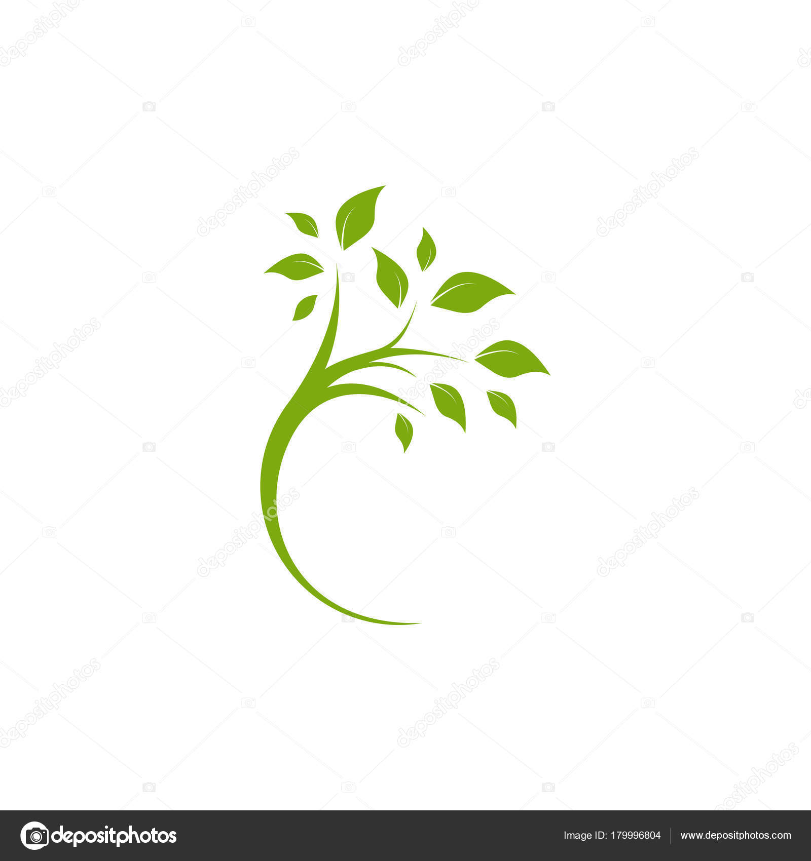Download Green curved tree with leaves. Round border with plant ...